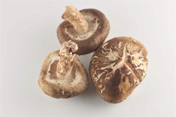 冬菇是什么 冬菇是發(fā)物嗎 冬菇是什么 冬菇是發(fā)物嗎