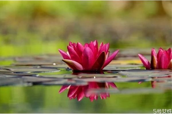 網(wǎng)上認(rèn)識的相親男怎么發(fā)展 網(wǎng)上相親的男人聊天不主動 網(wǎng)上認(rèn)識的相親男怎么發(fā)展 網(wǎng)上相親的男人聊天不主動