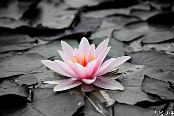 網(wǎng)上認(rèn)識的相親男怎么發(fā)展 網(wǎng)上相親的男人聊天不主動 網(wǎng)上認(rèn)識的相親男怎么發(fā)展 網(wǎng)上相親的男人聊天不主動