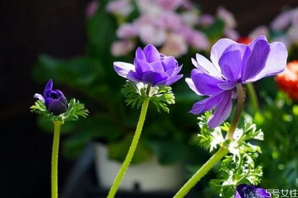 中年男人出軌的下場 婚前出軌與婚后出軌有什么區(qū)別 中年男人出軌的下場 婚前出軌與婚后出軌有什么區(qū)別