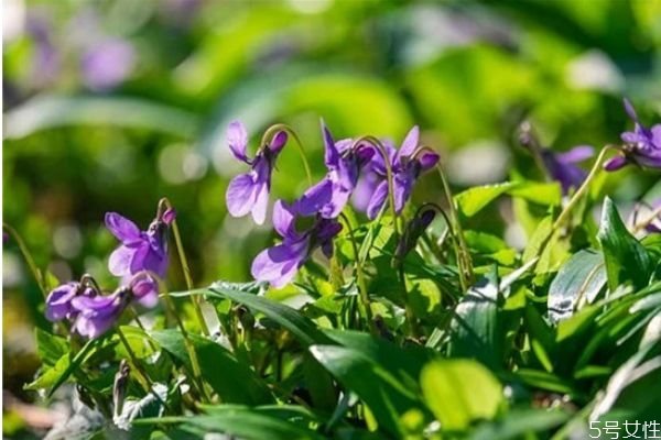 女人低情商能變嗎 女人低情商怎么改變 女人低情商能變嗎 女人低情商怎么改變