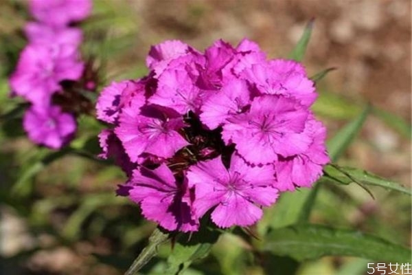 女人低情商能變嗎 女人低情商怎么改變 女人低情商能變嗎 女人低情商怎么改變