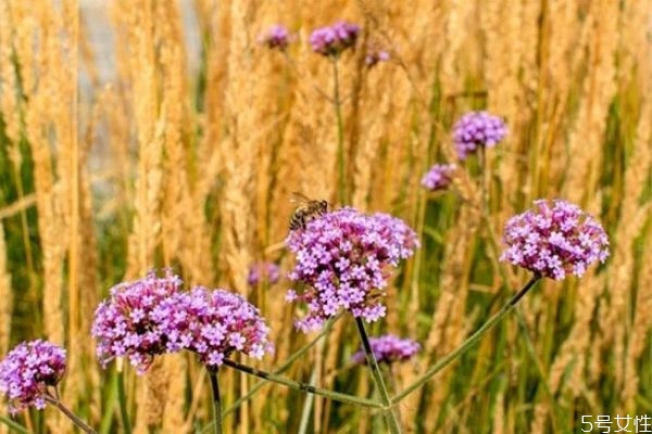 女人低情商能變嗎 女人低情商怎么改變 女人低情商能變嗎 女人低情商怎么改變
