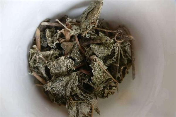 溪黃茶來月經(jīng)可以喝嗎 孕婦可以喝溪黃茶嗎 溪黃茶來月經(jīng)可以喝嗎 孕婦可以喝溪黃茶嗎