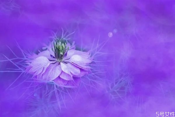 男朋友不愛你的細(xì)節(jié)表現(xiàn) 這些信號告訴你男友不愛你 男朋友不愛你的細(xì)節(jié)表現(xiàn) 這些信號告訴你男友不愛你