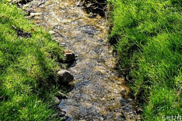 戀愛(ài)分手幾天后適合挽回 戀愛(ài)分手挽回技巧