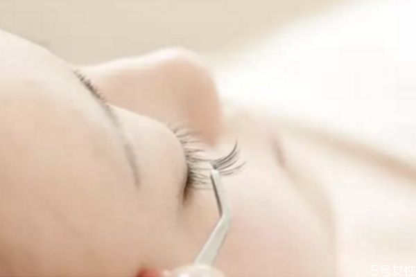 嫁接睫毛單根好還是開花好 嫁接睫毛多長10還是8 嫁接睫毛單根好還是開花好 嫁接睫毛多長10還是8