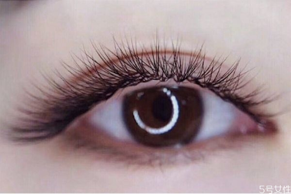 嫁接睫毛是越濃密越好嗎 嫁接美睫會(huì)痛嗎