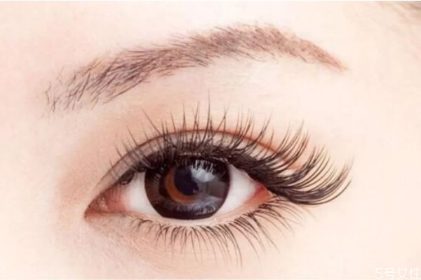 睫毛嫁接選什么毛最好 嫁接睫毛哪個(gè)粗度最好 睫毛嫁接選什么毛最好 嫁接睫毛哪個(gè)粗度最好