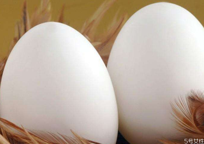 鵝蛋為什么有大有小 鵝蛋選大的好還是小的好 鵝蛋為什么有大有小 鵝蛋選大的好還是小的好