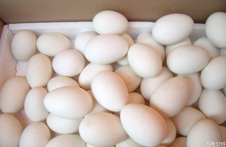 鵝蛋為什么有大有小 鵝蛋選大的好還是小的好 鵝蛋為什么有大有小 鵝蛋選大的好還是小的好