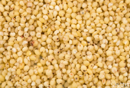 高粱米要泡多久才能煮飯 高粱米煮粥多久能熟 高粱米要泡多久才能煮飯 高粱米煮粥多久能熟