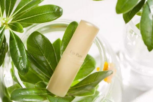 潤(rùn)唇膏可以代替唇膜嗎 潤(rùn)唇膏可以用什么代替