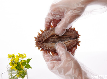 海參怎么分辨多少頭 海參怎么分辨野生和養(yǎng)殖 海參怎么分辨多少頭 海參怎么分辨野生和養(yǎng)殖