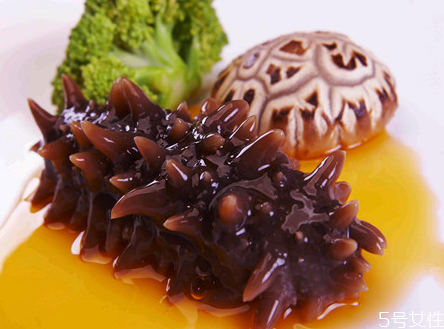 海參怎么分辨多少頭 海參怎么分辨野生和養(yǎng)殖 海參怎么分辨多少頭 海參怎么分辨野生和養(yǎng)殖