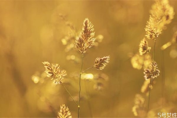 婚外情人一般誰(shuí)先放手 婚外情冷戰(zhàn)多久男人著急