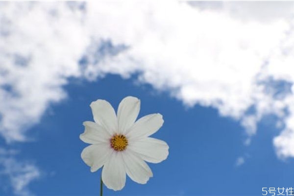 婚外情人一般誰(shuí)先放手 婚外情冷戰(zhàn)多久男人著急