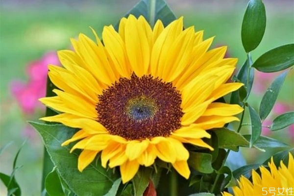 一個男人反感你的表現(xiàn) 一個男人吼你說明什么