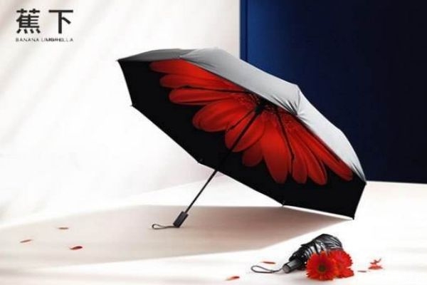 太陽傘發(fā)霉了怎么清洗 傘發(fā)霉了怎么清洗 太陽傘發(fā)霉了怎么清洗 傘發(fā)霉了怎么清洗