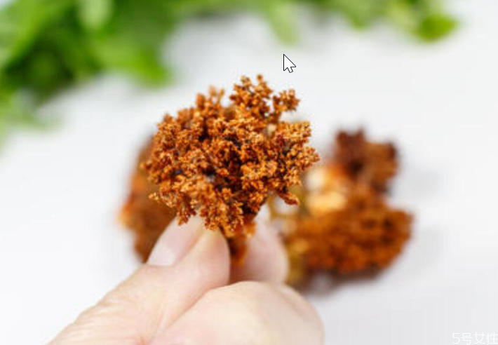 海參花怎么泡發(fā) 海參花怎么吃效果最好 海參花怎么泡發(fā) 海參花怎么吃效果最好