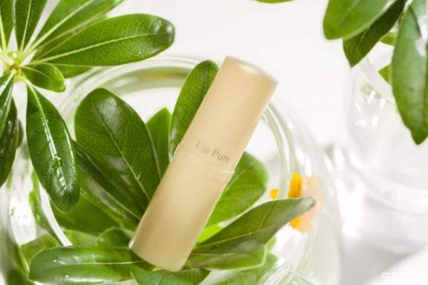 晚上用什么潤唇比較好 一天涂幾次唇膏比較好 晚上用什么潤唇比較好 一天涂幾次唇膏比較好