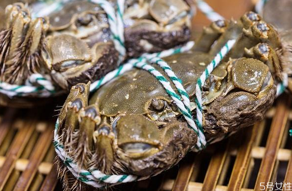 為什么螃蟹要綁起來 螃蟹不綁怎么蒸 為什么螃蟹要綁起來 螃蟹不綁怎么蒸