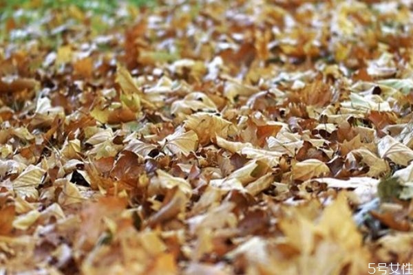 男生第一次約會(huì)遲到道歉 男生約會(huì)第一次遲到第二次爽約 男生第一次約會(huì)遲到道歉 男生約會(huì)第一次遲到第二次爽約