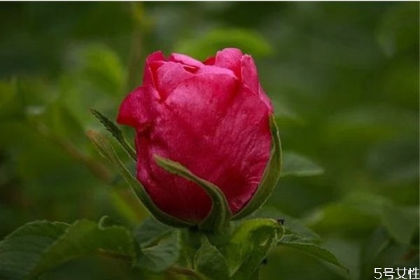 為什么父母反對姐弟戀 姐弟戀輸?shù)氖钦l 為什么父母反對姐弟戀 姐弟戀輸?shù)氖钦l