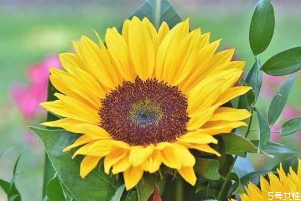 為什么父母反對姐弟戀 姐弟戀輸?shù)氖钦l 為什么父母反對姐弟戀 姐弟戀輸?shù)氖钦l