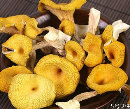 雞油菌的毒性大嗎 食用雞油菌的注意事項(xiàng) 雞油菌的毒性大嗎 食用雞油菌的注意事項(xiàng)