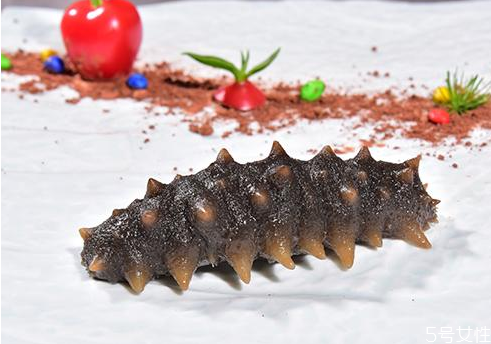 海參沒泡發(fā)好可以吃嗎 海參沒發(fā)起來怎么補(bǔ)救 海參沒泡發(fā)好可以吃嗎 海參沒發(fā)起來怎么補(bǔ)救