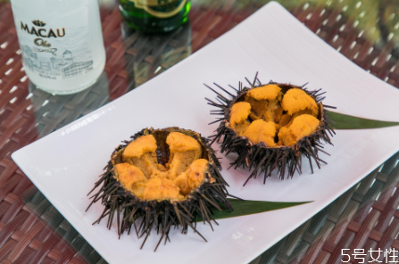 海膽的刺有毒嗎 被海膽扎了怎么處理 海膽的刺有毒嗎 被海膽扎了怎么處理