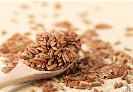 寶寶可以吃糙米嗎 寶寶多大可以吃糙米 寶寶可以吃糙米嗎 寶寶多大可以吃糙米