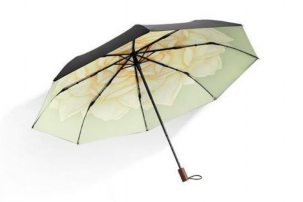 太陽傘可以當做雨傘使用嗎 雨傘可以擋太陽嗎 太陽傘可以當做雨傘使用嗎 雨傘可以擋太陽嗎