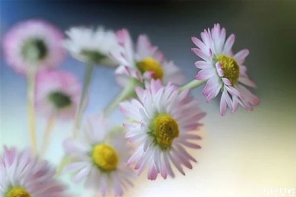 為什么男朋友總說自己沒本事 男人在女人面前自卑的表現(xiàn) 為什么男朋友總說自己沒本事 男人在女人面前自卑的表現(xiàn)