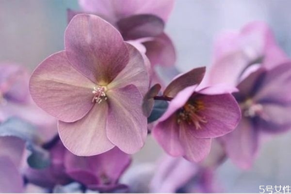 為什么男朋友總說自己沒本事 男人在女人面前自卑的表現(xiàn) 為什么男朋友總說自己沒本事 男人在女人面前自卑的表現(xiàn)