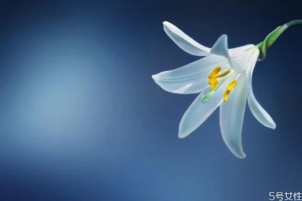 老婆和我冷戰(zhàn)怎么辦 如何緩解夫妻長期冷戰(zhàn) 老婆和我冷戰(zhàn)怎么辦 如何緩解夫妻長期冷戰(zhàn)