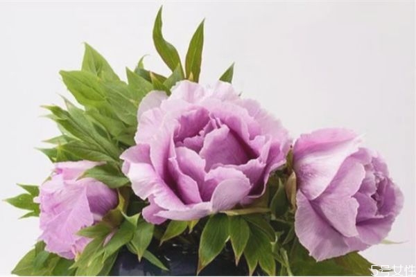 婚外情男人越絕情越說明 男人結束婚外情的手段 婚外情男人越絕情越說明 男人結束婚外情的手段