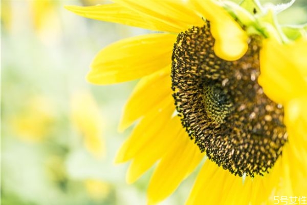 男人死心的表現(xiàn)有哪些 男人這幾個表現(xiàn)是在等你說分手 男人死心的表現(xiàn)有哪些 男人這幾個表現(xiàn)是在等你說分手