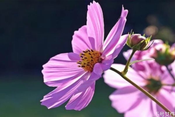 男人死心的表現(xiàn)有哪些 男人這幾個表現(xiàn)是在等你說分手 男人死心的表現(xiàn)有哪些 男人這幾個表現(xiàn)是在等你說分手