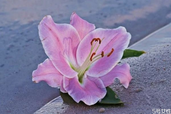 婚外情維持多久會分手 婚外情分手了會復(fù)合嗎 婚外情維持多久會分手 婚外情分手了會復(fù)合嗎