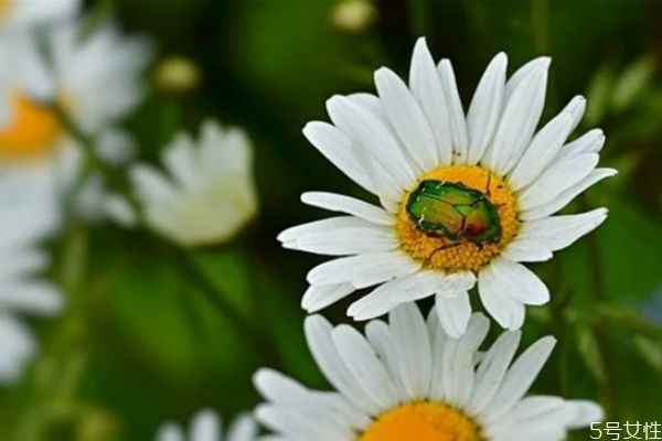 婚外情分手后男人放不下的表現(xiàn) 婚外情男人和女人區(qū)別 婚外情分手后男人放不下的表現(xiàn) 婚外情男人和女人區(qū)別