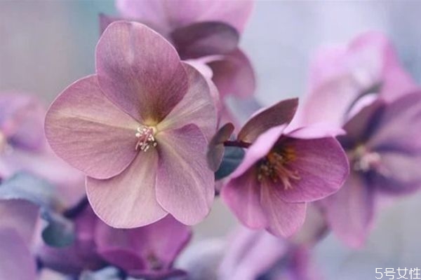 婚外情男人越絕情越說明 男人結束婚外情的手段 婚外情男人越絕情越說明 男人結束婚外情的手段