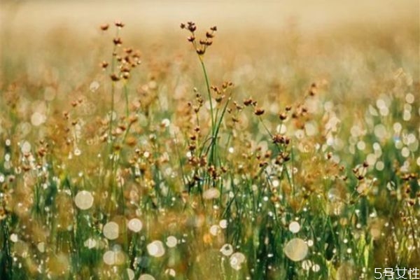 老婆怎么做才能讓老公不出軌 這樣做讓老公不敢出軌 老婆怎么做才能讓老公不出軌 這樣做讓老公不敢出軌