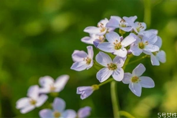 老婆為了錢(qián)出軌了還能要嗎 婚外情女人變心的表現(xiàn) 老婆為了錢(qián)出軌了還能要嗎 婚外情女人變心的表現(xiàn)