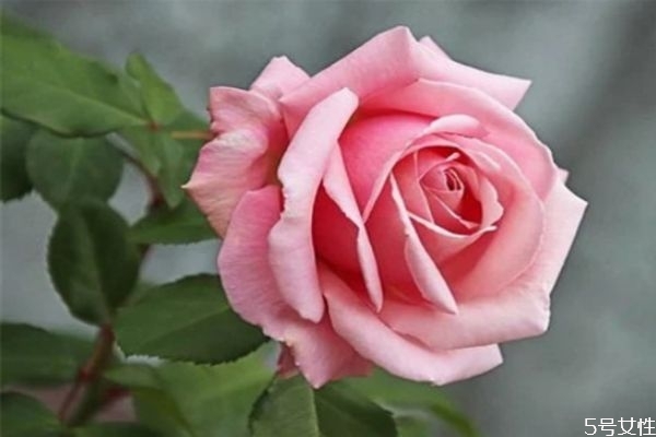 婚外情維持多久會分手 婚外情分手了會復(fù)合嗎 婚外情維持多久會分手 婚外情分手了會復(fù)合嗎