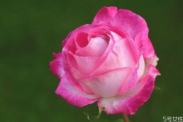 老婆和我冷戰(zhàn)怎么辦 如何緩解夫妻長期冷戰(zhàn) 老婆和我冷戰(zhàn)怎么辦 如何緩解夫妻長期冷戰(zhàn)