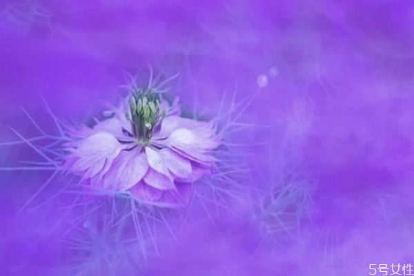 婚外情男人越絕情越說明 男人結束婚外情的手段 婚外情男人越絕情越說明 男人結束婚外情的手段