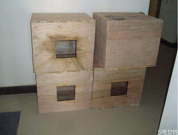 流浪貓冬天怎么過(guò)冬 怎么幫助流浪貓過(guò)冬 流浪貓冬天怎么過(guò)冬 怎么幫助流浪貓過(guò)冬