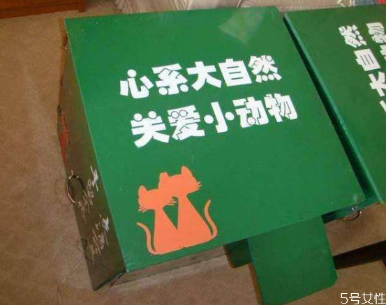 流浪貓冬天怎么過(guò)冬 怎么幫助流浪貓過(guò)冬 流浪貓冬天怎么過(guò)冬 怎么幫助流浪貓過(guò)冬